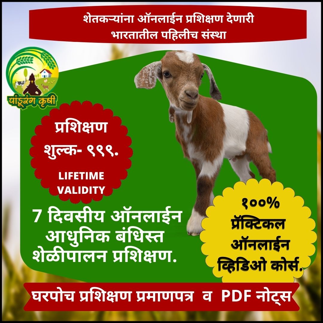 goat farming training